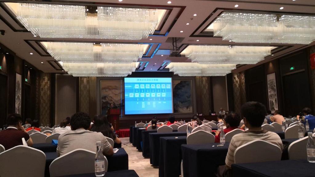 图2:分会场